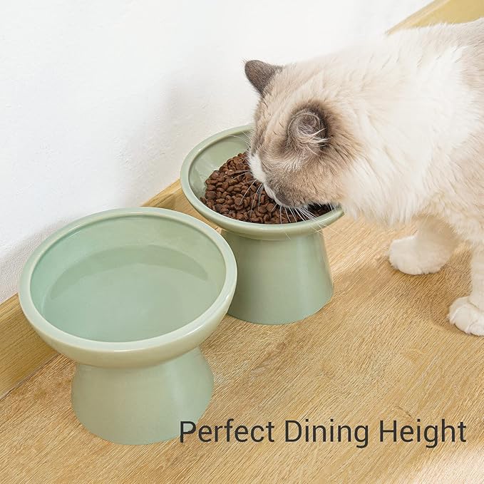 2 Elevated Ceramic Cat Bowls Extra Wide for Food & Water – Whisker Fatigue Shallow Food Dish, Lead & Cadmium-Free, Raised Height for Cats, Sage Green