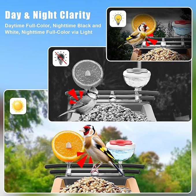 Smart Bird Feeder with Camera with AI Identify Birds Species & Solar Panel, WiFi Birdfeeder with Cam, 2K Live View, Chew-Proof & Waterproof Design, Real-Time App Alerts, Gift for Bird Lovers, Black
