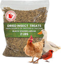 Dried Black Soldier Fly Larvae for Chicken - Treats for Hens, Duck, Wild Birds, Lizard, Tortoise, Fish - All Natural High Protein Dried Mealworms Alternative - Made in North America