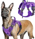 rabbitgoo Tactical Dog Harness for Large Dogs, No Pull Military Service Vest with Handle & Molle, Easy Control for Training Walking, Adjustable Reflective Straps, Purple Camo, L
