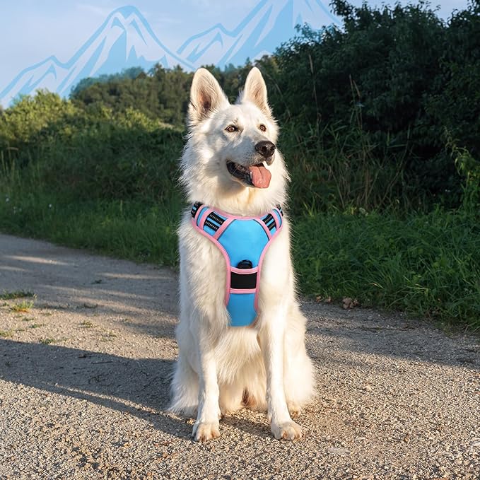 Eagloo Dog Harness for Large Dogs, No Pull Service Vest with Reflective Strips and Control Handle, Adjustable and Comfortable for Walking, No Choke Pet Harness with 2 Metal Rings, Pink & Blue, XL