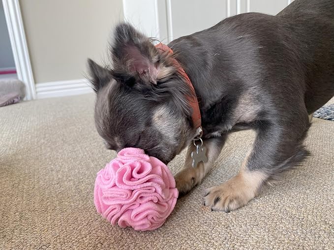 Puppy and Small Breed Snuffle Interactive Foraging Dog Puzzle Ball Toy Pink Small