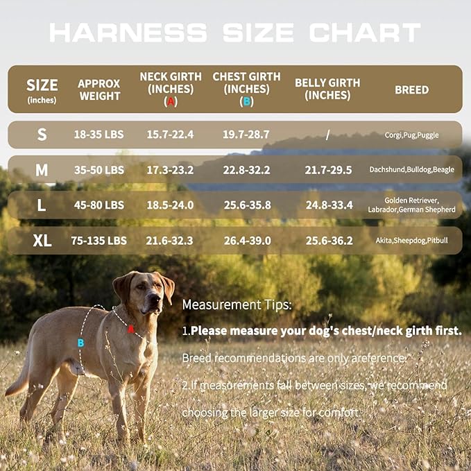 Small Dog Harness, Heavy Duty Tactical No Pull Dog Harness, No Choke, Easy On and Off Pet Vest with Molle System, Adjustable Reflective Dog Vest with Breathable Padded for Walking Hiking Training