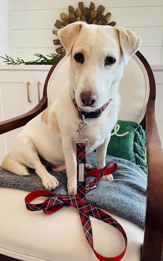 Lucky Love Dog - Adjustable Dog Collar with Easy Click Buckle for Small to Large Ones, Durable, & Comfortable for Male & Female Dogs, Pet Collar for Puppies & Adult Dogs - Heywood, Medium