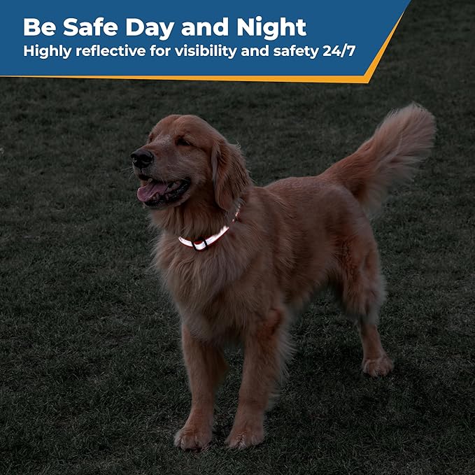 GoTags Reflective Personalized Dog Collar, Custom Embroidered with Pet Name and Phone Number in Orange for Boy and Girl Dogs, Adjustable Small