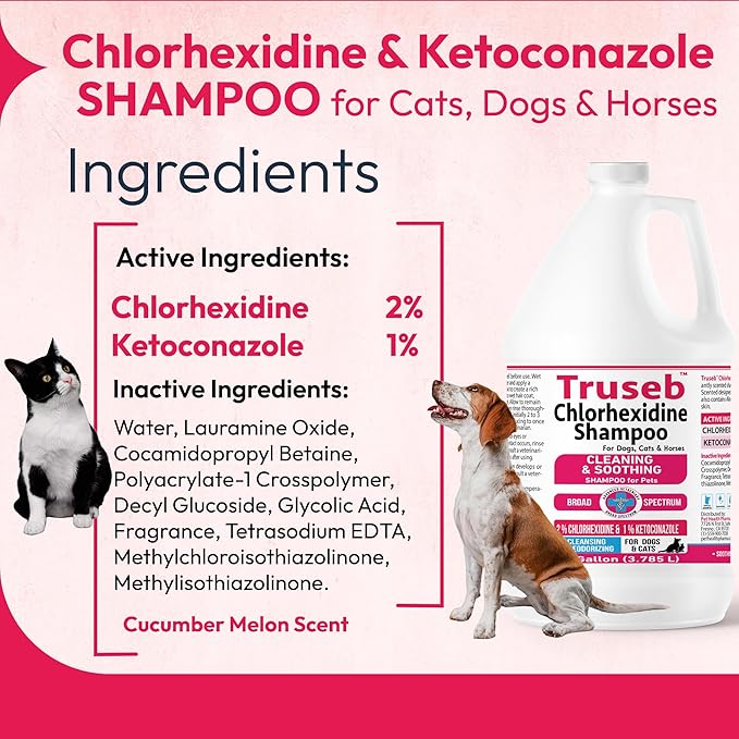 Truseb Topical Ketoconazole and Chlorhexidine Shampoo for Dogs, Cats & Horses Pleasantly Scented with a Cucumber Melon Scent with Aloe (Ketoconazole & Chlorhexidine Shampoo, 1 Gallon)