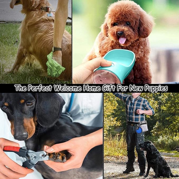 Puppy Supplies Starter Kit - 39-Piece Set of Puppy Essentials and Dog Stuff. Includes Dog Leash, Toys, Bowl, Brushes, Water Bottles,and More. Perfect Welcome Home Gift for Your New Puppies