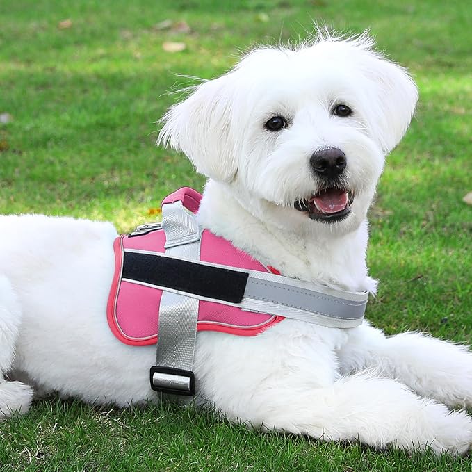 Bolux Dog Harness, No-Pull Reflective Dog Vest, Breathable Adjustable Pet Harness with Handle for Outdoor Walking - No More Pulling, Tugging or Choking (Fuchsia, Small (Pack of 1))