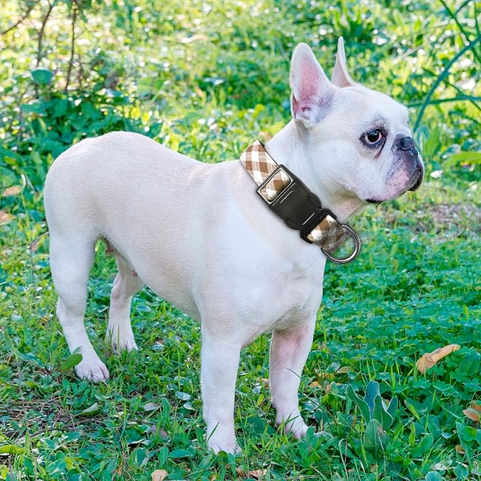 Reflective Dog Collar Padded with Soft Neoprene Breathable Adjustable Nylon Dog Collars for Small Medium Large Dogs (Medium (Pack of 1), Vanilla Plaid Collar+Leash)