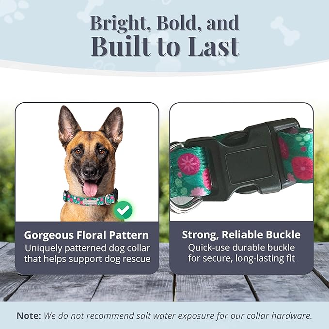 Lucky Love Dog - Adjustable Dog Collar with Easy Click Buckle for Small to Large Dogs, Durable, & Comfortable for Male & Female Dogs, Pet Collar for Puppies & Adult Ones - Penny, Large