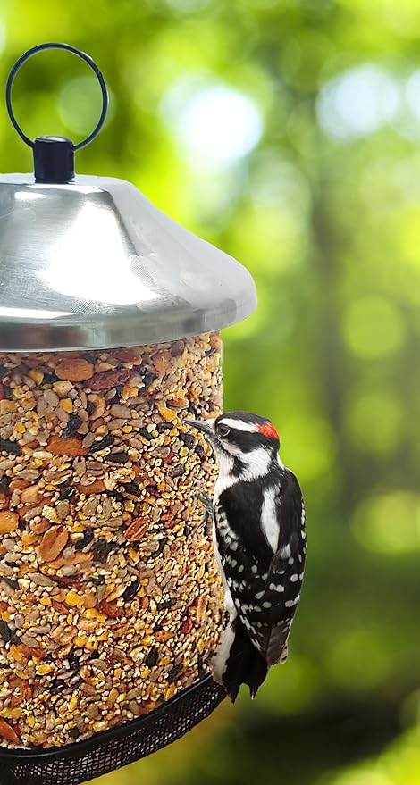 Songbird Treats Seed Tower 2 Packs | Bundle of 2 | 1.5-2 lb Seed Log Towers for Wild Birds (Sunny Mealworm)