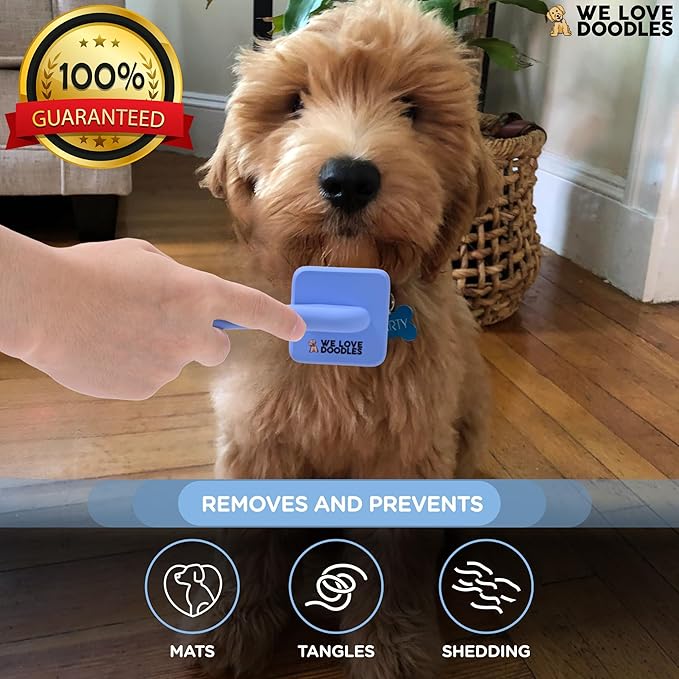 We Love Doodles Dog Slicker Brush for Grooming Pet Hair - Best Brushes For Poodle & Golden Doodle - Long Haired Coat Hairbrush - Goldendoodle Long Pin Brush For Dematting (Extra Small)