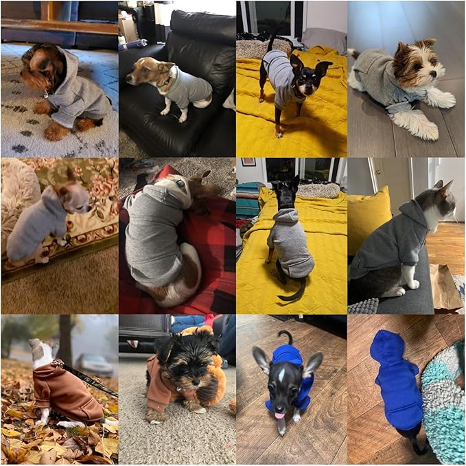 Jecikelon Winter Dog Hoodie Sweatshirts with Pockets Warm Dog Clothes for Small Dogs Chihuahua Coat Clothing Puppy Cat Custume (Grey, XX-Small)