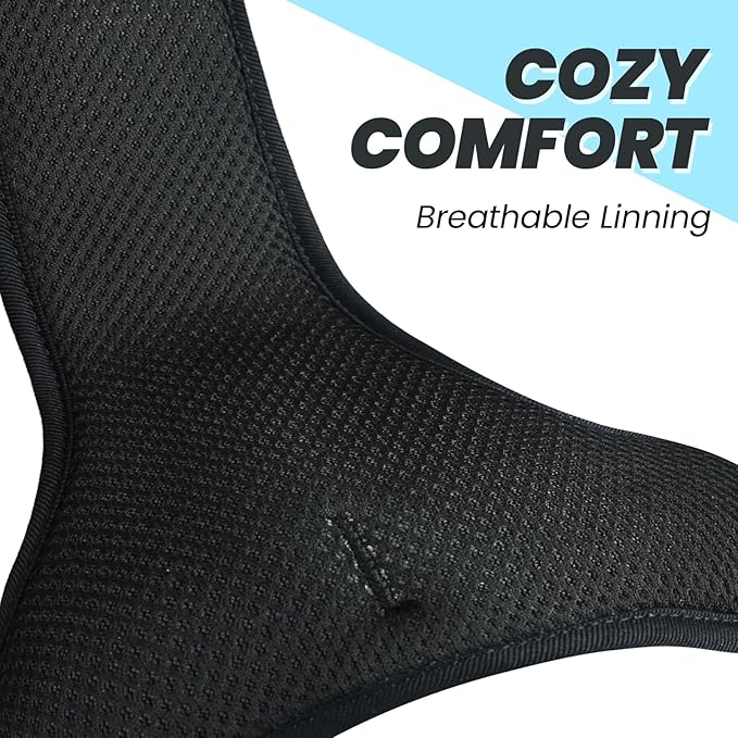 VIVAGLORY Dog Harness Easefit No Pull Dog Harness with Front Clip & Handle for Lifting Training, Adjustable Padded No-Pull Anti Pull Easy On for Puppy & Pet, L, Blue