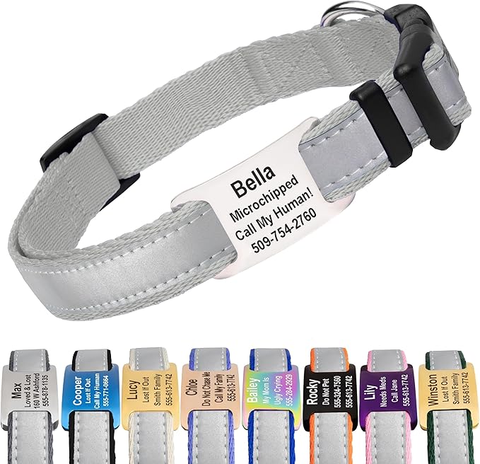 GoTags Reflective Personalized Dog Collar with Nameplate, Adjustable Dog Collar with Custom Engraved Steel Slide On Pet ID Tag, Silent, No Noise Dog Tag for Large Medium or Small (Light Gray, Large)