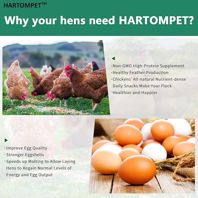 HARTOMPET Better Than Dried Mealworms for Chickens 5 lbs - 85X Calcium Than MealWorms - Non-GMO Chicken Feed Additive - Black Soldier Fly Larvae Treats for Hens, Ducks, Wild Birds