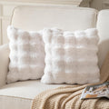 Pack of 2 Thick Plush Throw Pillow Covers Fluffy Wave Faux Fur Decorative Cushion Covers Soft Wool Pillowcase for Sofa Couch Livingroom 20x20 Inch White