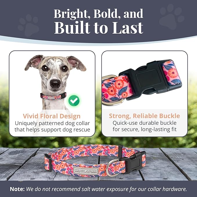 Lucky Love Dog - Adjustable Dog Collar with Easy Click Buckle for Small to Large Ones, Durable, & Comfortable for Male & Female Dogs, Pet Collar for Puppies & Adult Dogs - Rosie, Medium