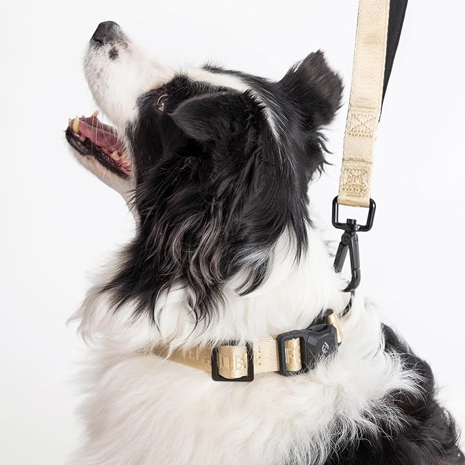 2025 New Edition, Fei & Eve MagEase Dog Collar - Patented Magnetic Buckles | Fur-Safe | Premium 210D Nylon | 450LB Escape-Proof | Adjustable Fit | Large (Champagne)