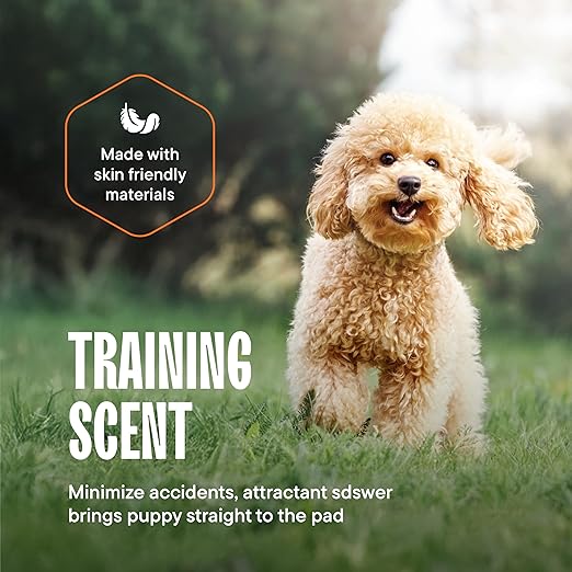 Puppy Pads Pet Pee Pads 28"x30" [200-Count] Pet Training Disposable Pads, Large Breed Pad, Leak-Proof, Bulk Case Pack - for Border Collies, Australian Shepherds, Labs Heavy Duty Surface Protector