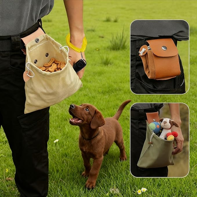Dog Treat Pouch with Training Clicker & Whistle - Stylish & Portable Large-Capacity Foldable Pet Training Pouch with Wlastic Belt for Outdoor Use/Pet Training (Green)