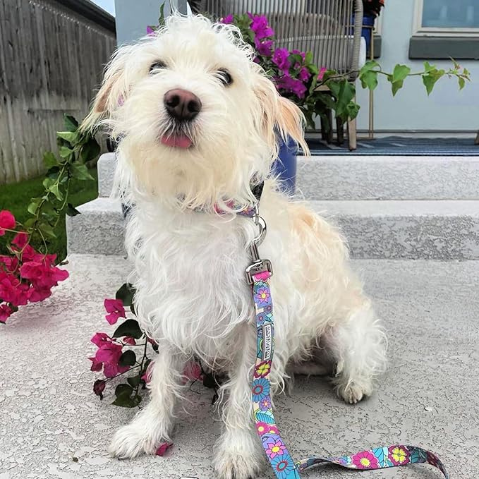 Lucky Love Dog - Adjustable Dog Collar and Leash Set with Easy Click Buckle for Small to Large Ones, Durable, & Comfortable Collar for Male & Female Dogs, Puppies & Adult Dogs - Caroline, XL