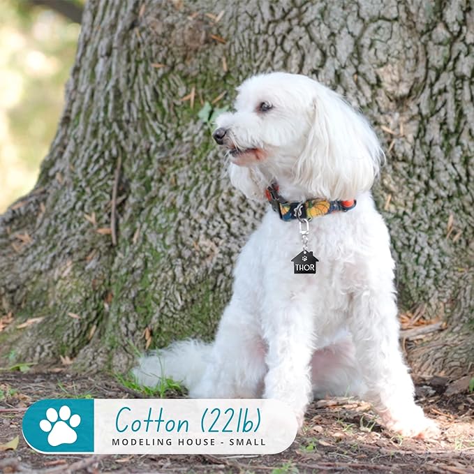 Ultra Joys Dog Tags Personalized for Pets - Hollow Paw Custom Pet ID Tag - Engraved Dog Tag for Small, Large Dogs - Large House in Black