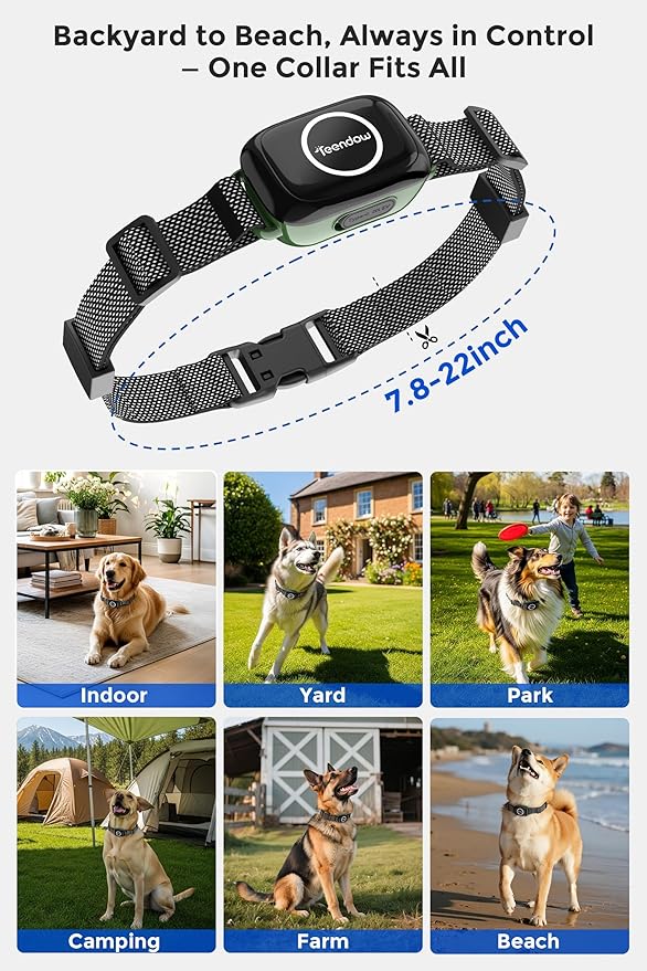 T800 Pro Wireless Dog Fence for 2 Dogs Zero Delay Response Electric Fence for 2 Dogs, Perimeter Pet Collar with Training & Bark Control, Safety-Lock HD Display Rechargeable Waterproof Portable