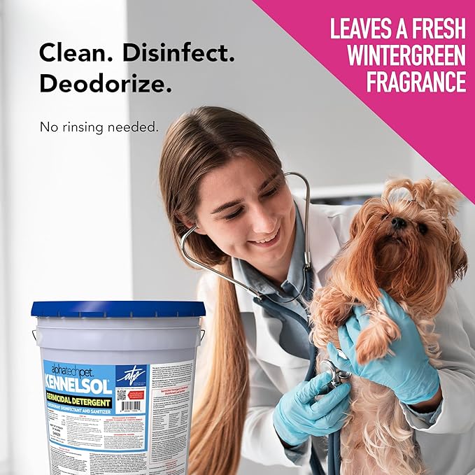 ATP KennelSol 1-Step Kennel Cleaner - 5 Gallons Liquid Disinfectant, Effective Against Bacteria and Viruses, Deodorizer Wintergreen Scent by Alpha Tech Pet