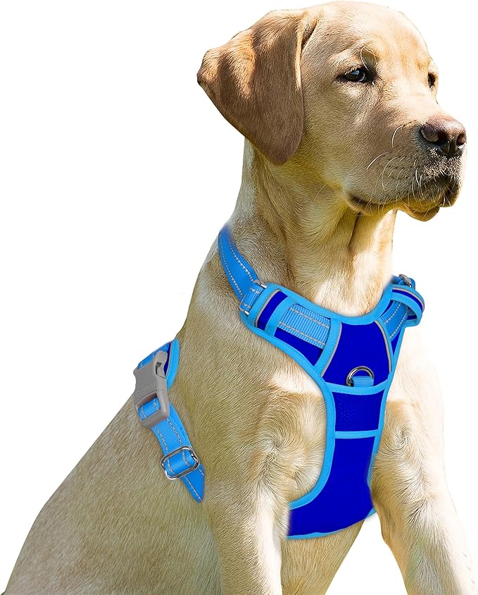 BARKBAY No Pull Dog Harness Front Clip Heavy Duty Reflective Easy Control Handle for Large Dog Walking(Sapphire Blue & Blue,XS)