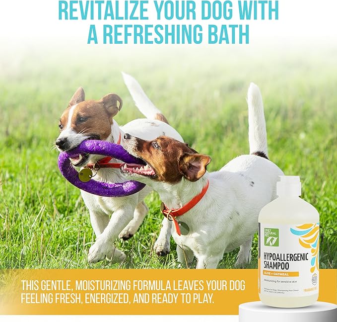 Only Natural Pet Hypoallergenic Shampoo with Aloe & Oatmeal for Dogs - Moisturizing Dog Shampoo and Ultra-Nourishing Care for Dry, Itchy, and Sensitive Skin - 16.9 oz