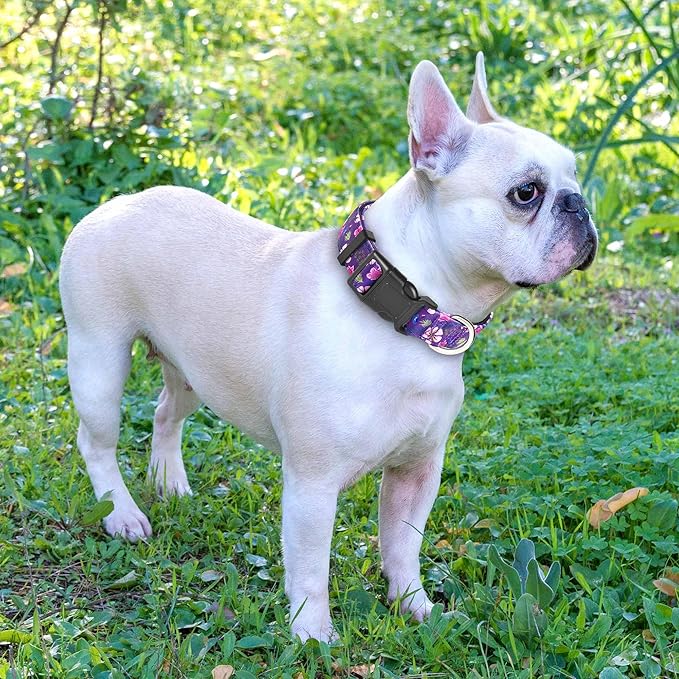 Reflective Dog Collar Padded with Soft Neoprene Breathable Adjustable Nylon Dog Collars for Small Medium Large Dogs (Medium (Pack of 1), Purple/Pink Floral Collar+Leash)