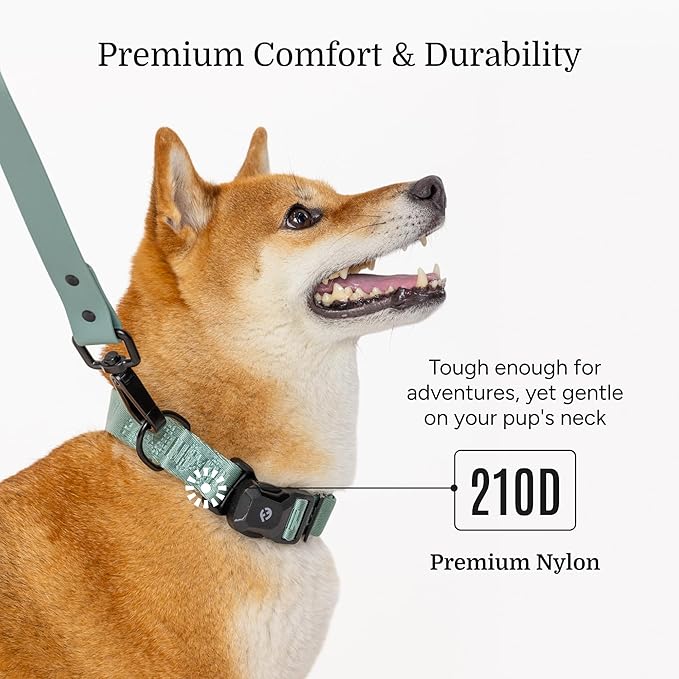 2025 New Edition, Fei & Eve MagEase Dog Collar - Patented Magnetic Buckles | Fur-Safe | Premium 210D Nylon | 450LB Escape-Proof | Adjustable Fit | Small (Glacier Green)