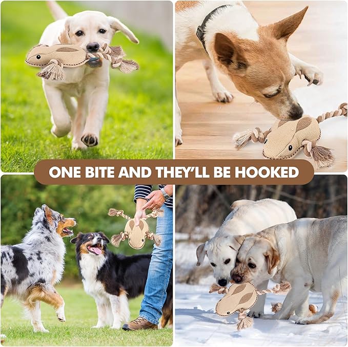 Tough Durable Squeaky Dog Toys for chewers Interactive to Keep Them Busy, Funny Tug of War Dogs Toy for Small Medium Large Cute Birthday Gift (Frog)