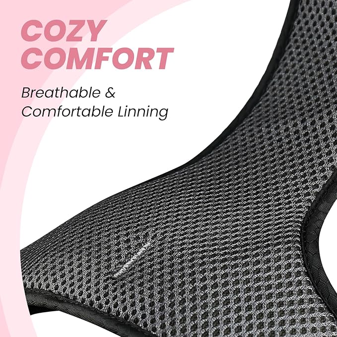 VIVAGLORY Dog Harness Easewalk No Pull Dog Harness with Handle & Front Back Clip for Training Lifting, Easy On Adjustable Padded No Pull for Pet & Puppy, XL, Sakura Pink