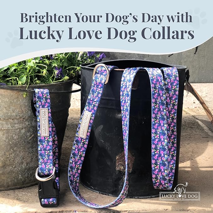 Lucky Love Dog, Comfortable, Soft, Cute Female Dog Collar for Medium Dogs, Black & Purple Floral Print, Adjustable Nylon Collar, Primrose, Medium