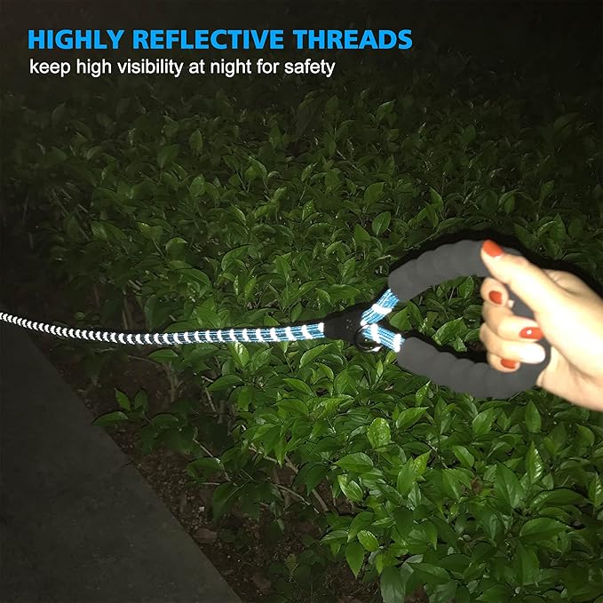 Reflective Dog Collar Padded with Soft Neoprene Breathable Adjustable Nylon Dog Collars for Small Medium Large Dogs (Large (Pack of 1), Vivid Blue Collar+Leash)