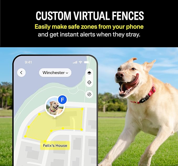 Fi Series 3 Smart Dog Collar - GPS Dog Tracker and Activity & Fitness Monitor, Waterproof, LED Light, Escape Alerts, Nationwide Coverage [Free 1 Year Membership] (Gray, Medium)