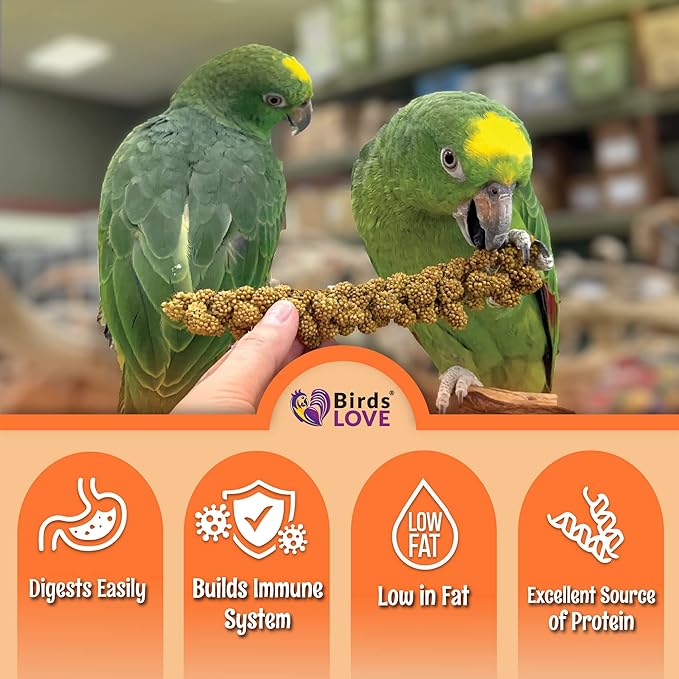 Birds LOVE Wholesome & Lovely Spray Millet Non-GMO (No Stems Only Edible Tops) for Parrots Birds Cockatiel Lovebird Parakeets Finch Canary All Parrots Healthy Treat - 5lbs