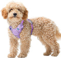 BARKBAY No Pull Dog Harness Large Reflective Dog Harness with Front Clip and Easy Control Handle for Walking Training Running with ID tag Pocket(Lavender Sky,XS)