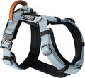 MADE TO ROAM Premium Explorer Harness - Y-Shaped Dog Harness with Adjustable Durable Nylon, Soft Padding, Metal Buckles and Leather Handle for Small, Medium, Large Dogs (Alaska Daybreak, Size 5)