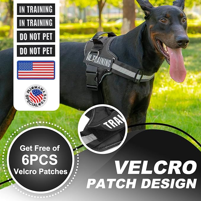 Essential Dog Harness with 3 Leash Clips - No-Pull, Adjustable, Comfortable Pet Vest Harness for Small to Large Dogs - Easy On, No Choke, Reflective, Padded Harness for Walking and Training