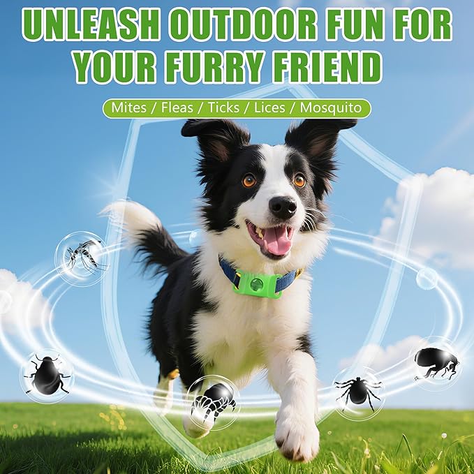 Natural Flea and Tick Prevention Dog Tag – 2 Pack Waterproof Collar Pendant with 4 Extra Refills, Green, Safe for All Breeds Collar Not Included