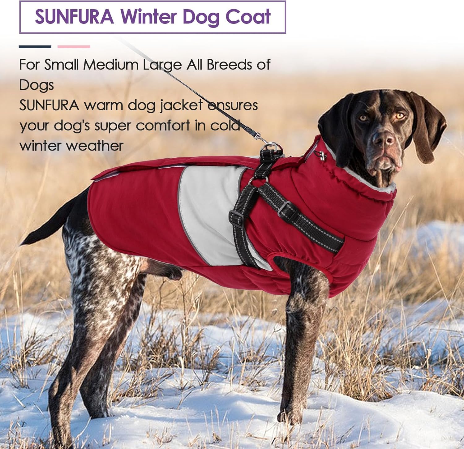 SUNFURA Dog Winter Coat, Waterproof Dog Coat Jacket with Harness for Medium Dogs Boys Girls, Reflective Fleece Lined Pet Snow Jacket Sweaters for Pug, Jack Russel, Boston Terrier, Burgundy M