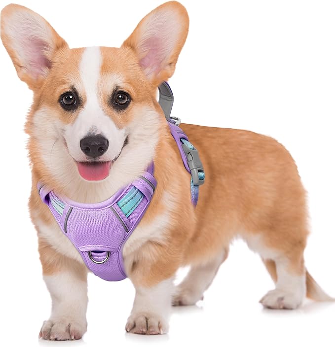 BARKBAY No Pull Dog Harness Large Reflective Dog Harness with Front Clip and Easy Control Handle for Walking Training Running with ID tag Pocket(Lavender Sky,M)