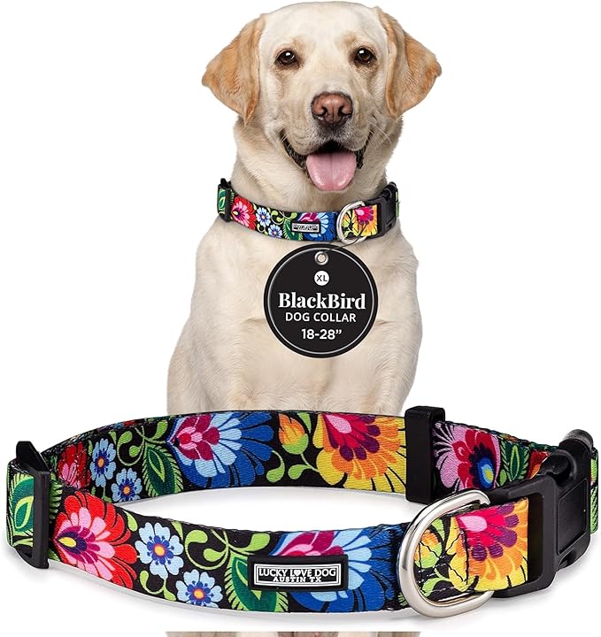 Lucky Love Dog - Adjustable Dog Collar with Easy Click Buckle for Small to Large Ones, Durable, & Comfortable for Male & Female Dogs, Pet Collar for Puppies & Adult Dogs - Blackbird, Extra Large