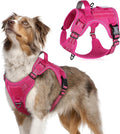 rabbitgoo Tactical Dog Harness Medium Sized Dog, No Pull Military Service Vest with Handle & Molle, Easy Control for Training Walking, Adjustable Reflective Straps, Rose Red, M