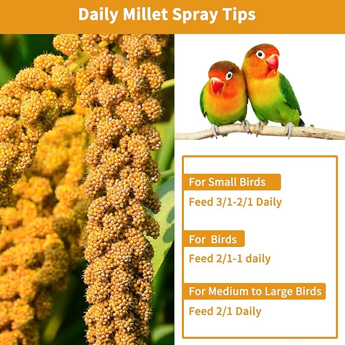 kathson Spray Millet Treat Sun-Dried Bird Millet Parakeet Treats for Budgies Finches Cockatiels Parrots Lovebird Hamster Other Pet Birds 0.44LB