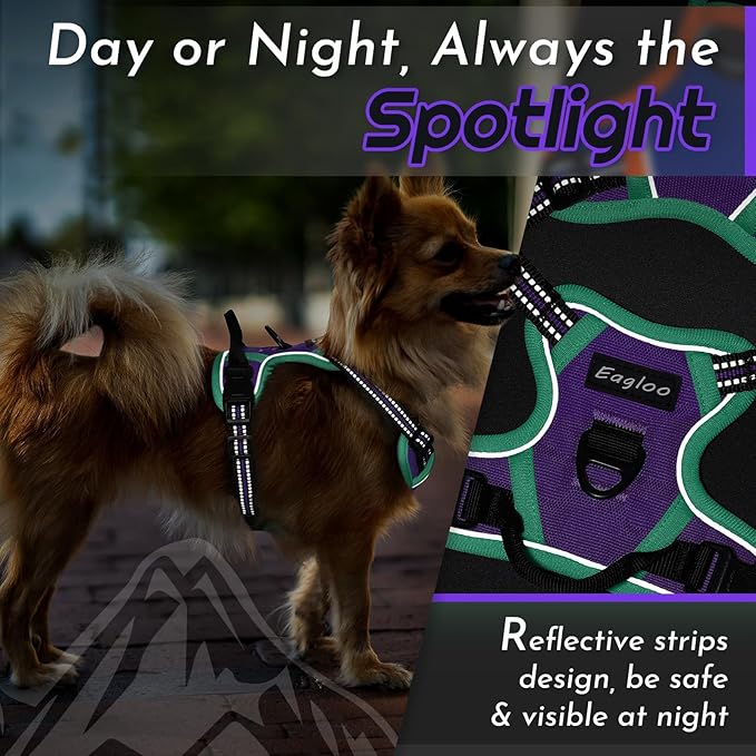 Eagloo Small Dog Harness No Pull, Service Vest with Reflective Strips and Control Handle, Adjustable and Comfortable for Walking, No Choke Pet Harness with 2 Metal Rings, Purple & Green, XS