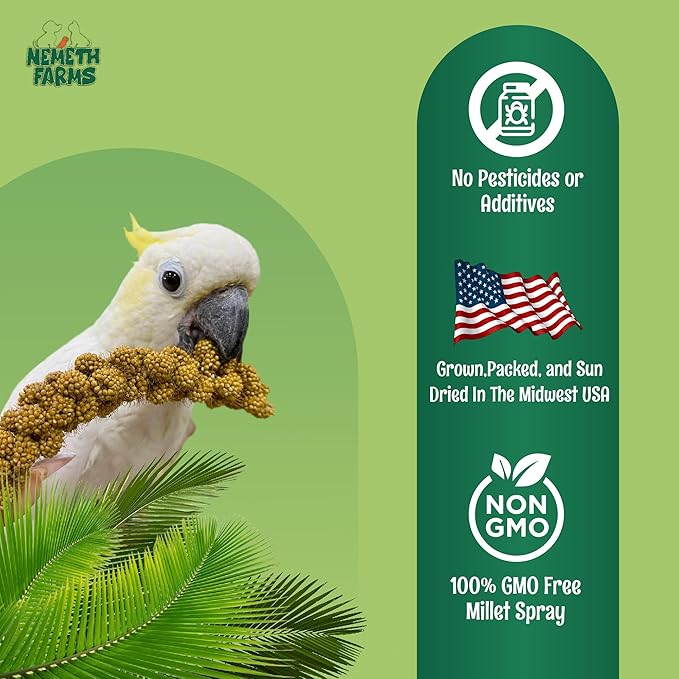 Nemeth Farms–Natural Sun Dried Millet Spray for Pet Birds–Bulk Parrot Seed Treats and Parrot Food–Natural Non GMO Millet Spray–Cockatiels Lovebirds Parakeet 2 lbs.
